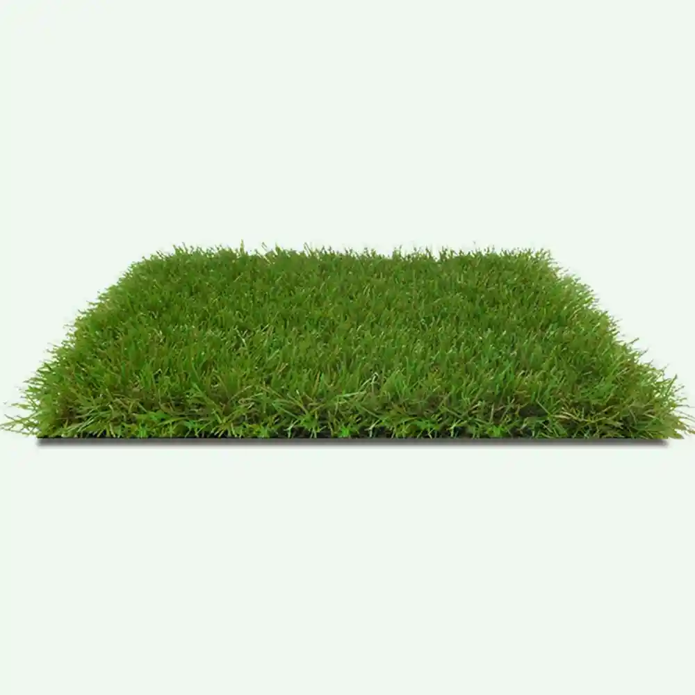 Garden Décor
