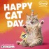 Cat Food & Supplies