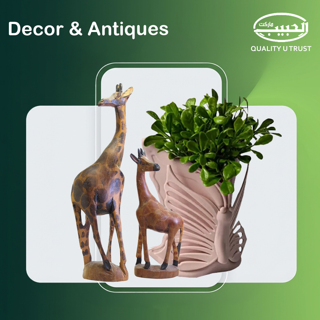 عروض الديكور والتحف